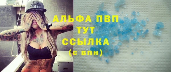 гидра Надым